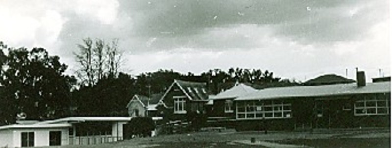 Ferntree Gully Primary School then