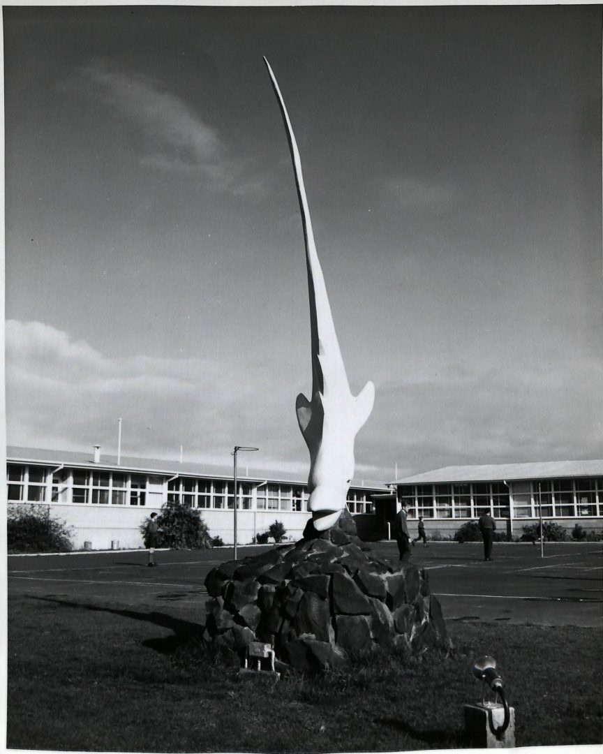 Geelong East Technical School then